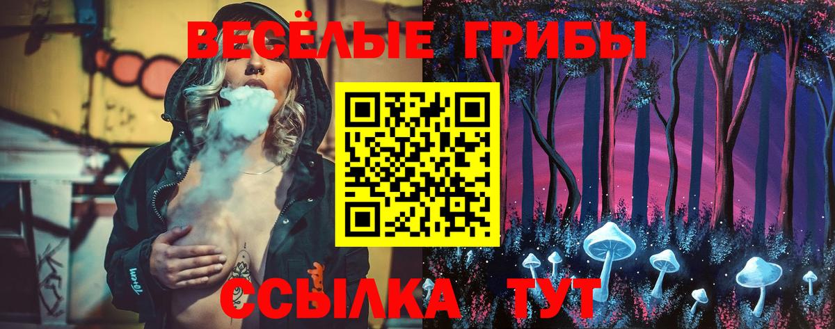 Псилоцибиновые грибы Cubensis  Псилоцибиновые грибы прущие грибы  Вход с VPN  Заинск 